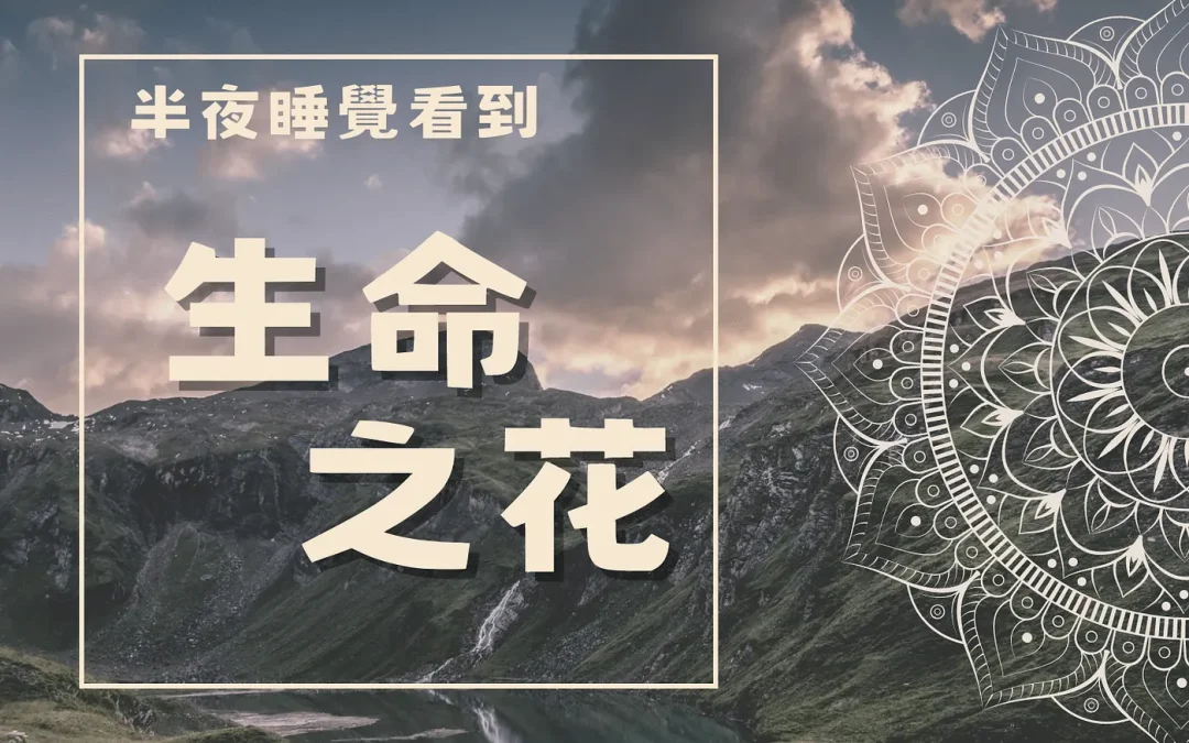 半夜看到生命之花的圖案在牆上