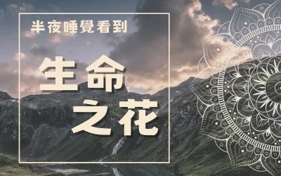 半夜看到生命之花的圖案在牆上